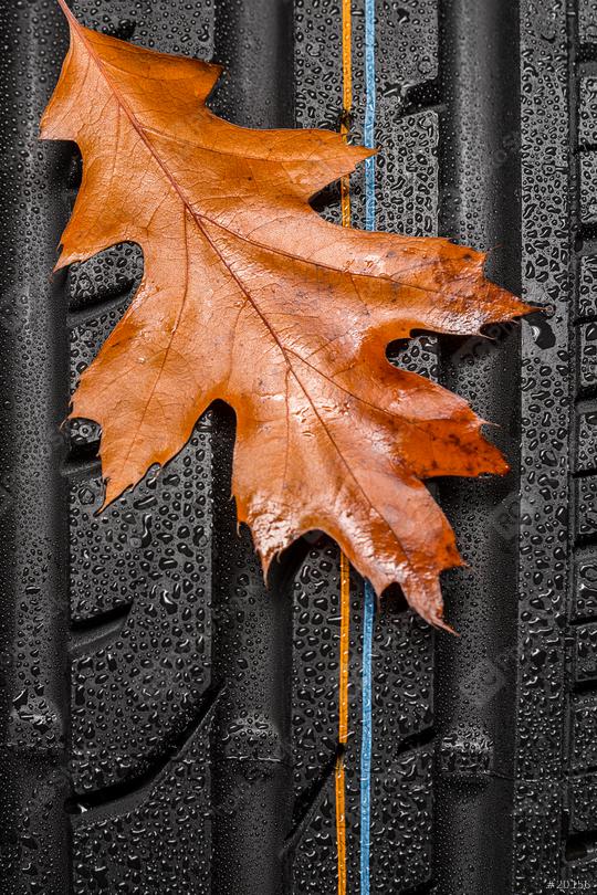 Car tire profile with autumn leaf an rain drops  : Stock Photo or Stock Video Download rcfotostock photos, images and assets rcfotostock | RC Photo Stock.: