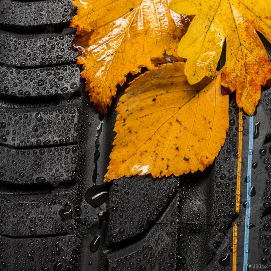 car tire profile with autumn leaves and raindrops  : Stock Photo or Stock Video Download rcfotostock photos, images and assets rcfotostock | RC Photo Stock.: