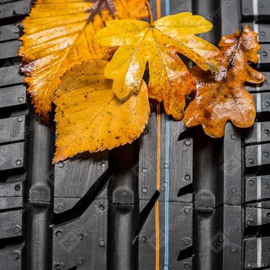 Car tire with autumn leaves car service station  : Stock Photo or Stock Video Download rcfotostock photos, images and assets rcfotostock | RC Photo Stock.: