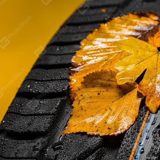 car tire with moist autumn leaves and raindrops  : Stock Photo or Stock Video Download rcfotostock photos, images and assets rcfotostock | RC Photo Stock.: