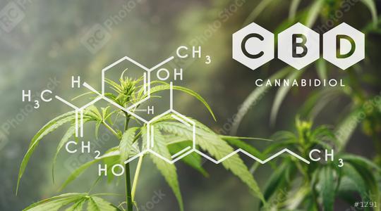 CBD Chemical Formula, Beautiful background of green cannabis flowers A place for copy space  : Stock Photo or Stock Video Download rcfotostock photos, images and assets rcfotostock | RC Photo Stock.: