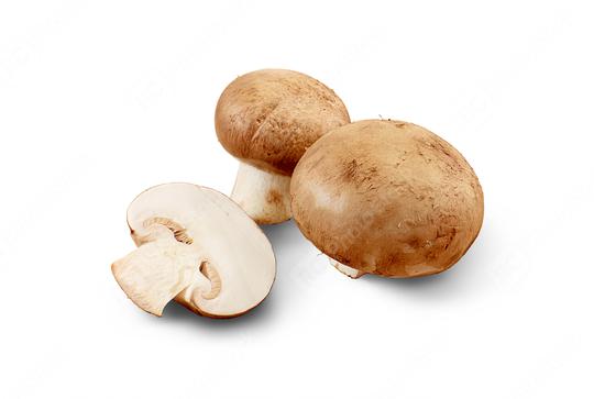 Champignons isolated  : Stock Photo or Stock Video Download rcfotostock photos, images and assets rcfotostock | RC Photo Stock.: