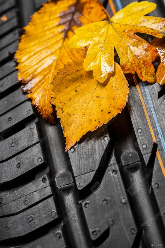 Change summer tires with autumn leaves  : Stock Photo or Stock Video Download rcfotostock photos, images and assets rcfotostock | RC Photo Stock.: