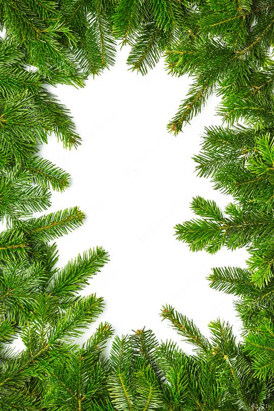 christmas fir branches background  : Stock Photo or Stock Video Download rcfotostock photos, images and assets rcfotostock | RC Photo Stock.: