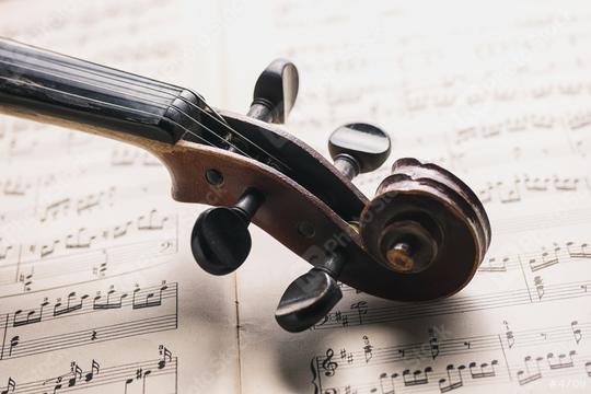 Classical violin head on notes  : Stock Photo or Stock Video Download rcfotostock photos, images and assets rcfotostock | RC Photo Stock.: