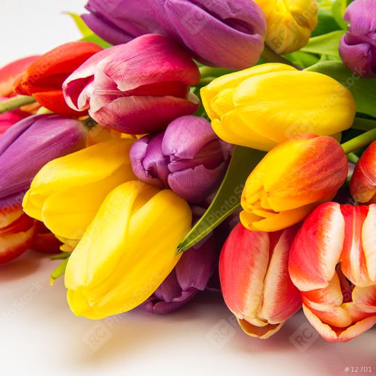 closeup from tulip flowers  : Stock Photo or Stock Video Download rcfotostock photos, images and assets rcfotostock | RC Photo Stock.: