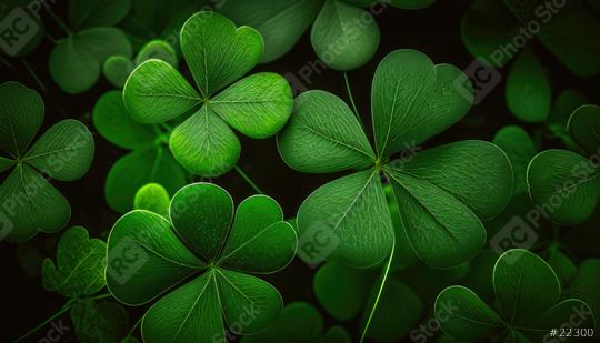 clover leaf in lens flare for Valentine or Saint Patrick  : Stock Photo or Stock Video Download rcfotostock photos, images and assets rcfotostock | RC Photo Stock.: