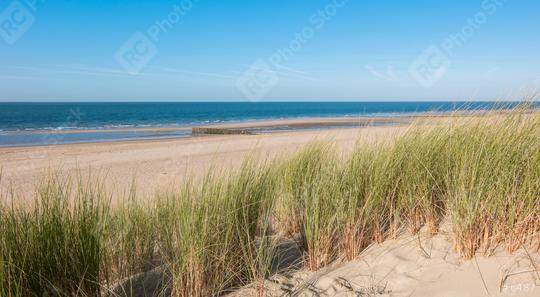 Coastline with dike ,sand and grass in Renesse, Holland  : Stock Photo or Stock Video Download rcfotostock photos, images and assets rcfotostock | RC Photo Stock.: