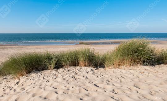 Coastline with dike ,sand and grass in Zeeland, Holland  : Stock Photo or Stock Video Download rcfotostock photos, images and assets rcfotostock | RC Photo Stock.: