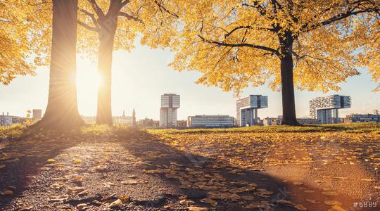 Cologne autumn view at sunset, germany  : Stock Photo or Stock Video Download rcfotostock photos, images and assets rcfotostock | RC Photo Stock.: