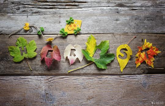 Colorful autumn leaves arranged to spell "HARVEST" on a rustic wooden background, featuring a cheerful felt decoration, symbolizing fall, creativity, and seasonal decor  : Stock Photo or Stock Video Download rcfotostock photos, images and assets rcfotostock | RC Photo Stock.: