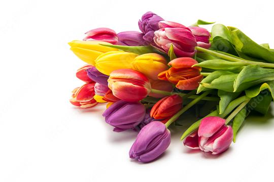 colorful bouquet of tulip flowers  : Stock Photo or Stock Video Download rcfotostock photos, images and assets rcfotostock | RC Photo Stock.:
