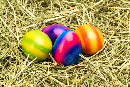 colorful easter eggs in a hay nest  : Stock Photo or Stock Video Download rcfotostock photos, images and assets rcfotostock | RC Photo Stock.: