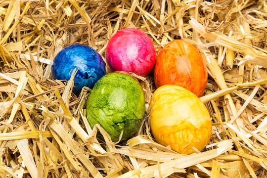 colorful easter eggs in a nest  : Stock Photo or Stock Video Download rcfotostock photos, images and assets rcfotostock | RC Photo Stock.: