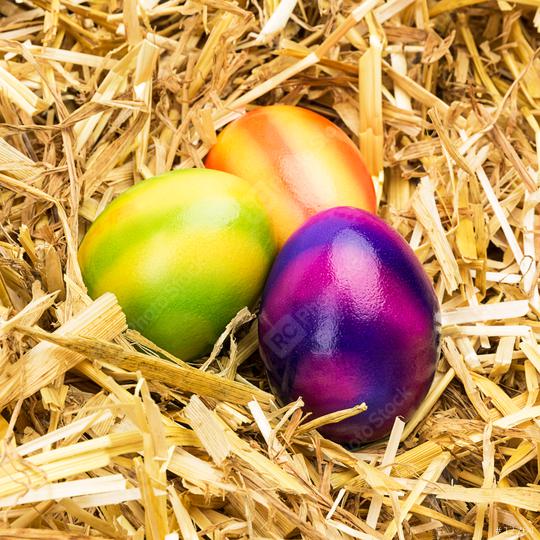 colorful easter eggs in straw  : Stock Photo or Stock Video Download rcfotostock photos, images and assets rcfotostock | RC Photo Stock.:
