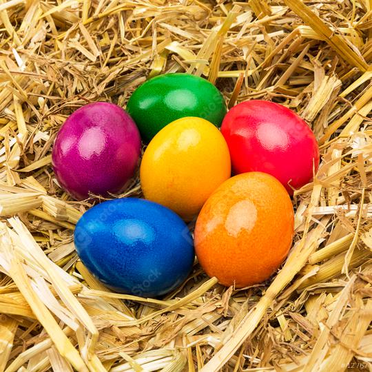 colorful hen easter egg in straw  : Stock Photo or Stock Video Download rcfotostock photos, images and assets rcfotostock | RC Photo Stock.: