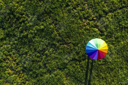 Colorful of umbrella on a green summer meadow - view from a drone  : Stock Photo or Stock Video Download rcfotostock photos, images and assets rcfotostock | RC Photo Stock.: