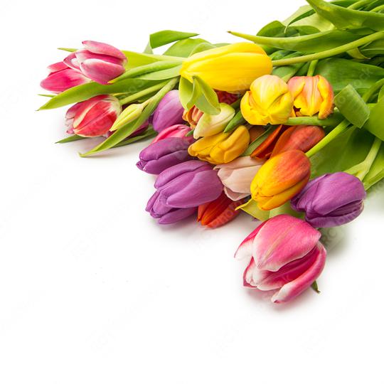 colorful tulip flower bunch  : Stock Photo or Stock Video Download rcfotostock photos, images and assets rcfotostock | RC Photo Stock.: