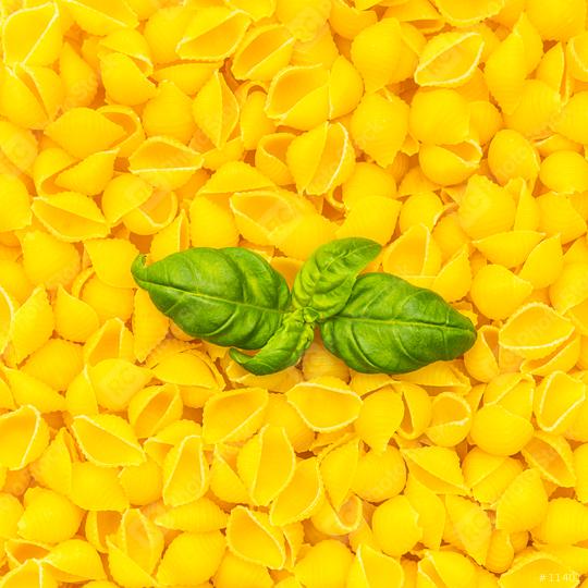 conchiglie (shell noodels) with basil leaf  : Stock Photo or Stock Video Download rcfotostock photos, images and assets rcfotostock | RC Photo Stock.: