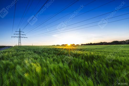 cornfield before sunset at dusk with power pole  : Stock Photo or Stock Video Download rcfotostock photos, images and assets rcfotostock | RC Photo Stock.: