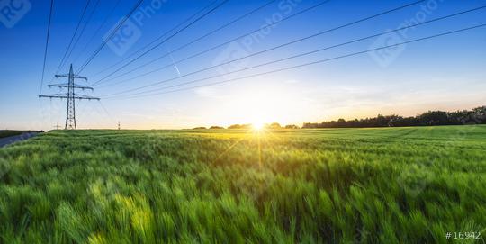 cornfield before sunset at dusk with power pole  : Stock Photo or Stock Video Download rcfotostock photos, images and assets rcfotostock | RC-Photo-Stock.: