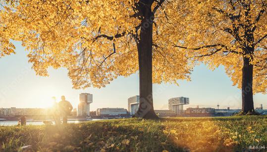 Couple sits on a bench at the rhine shore in cologne at autumn  : Stock Photo or Stock Video Download rcfotostock photos, images and assets rcfotostock | RC Photo Stock.: