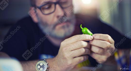 Creative designer looks at green pepper, hot chili pepper  : Stock Photo or Stock Video Download rcfotostock photos, images and assets rcfotostock | RC Photo Stock.: