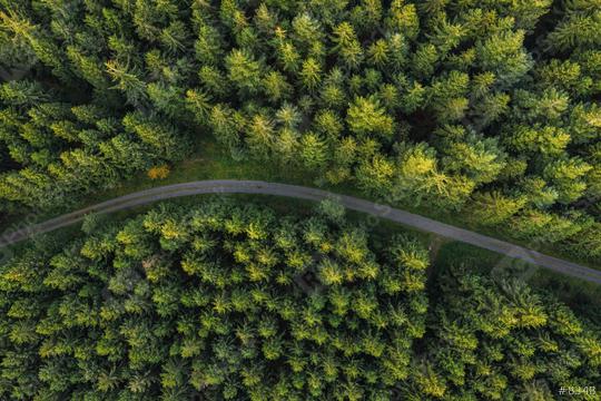 Curved path in the forest view from a drone  : Stock Photo or Stock Video Download rcfotostock photos, images and assets rcfotostock | RC Photo Stock.: