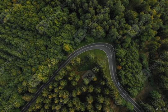 curved Road surrounded by trees in the forest, drone shot  : Stock Photo or Stock Video Download rcfotostock photos, images and assets rcfotostock | RC Photo Stock.:
