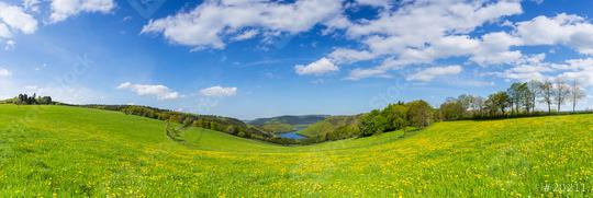 dandelion meadow in the eifel landscape with Lake Rursee at sping, panorama, germany  : Stock Photo or Stock Video Download rcfotostock photos, images and assets rcfotostock | RC Photo Stock.: