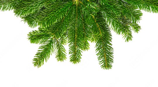 decoration fir branches  : Stock Photo or Stock Video Download rcfotostock photos, images and assets rcfotostock | RC Photo Stock.: