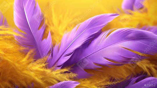 Delicate lavender-hued feathers take center stage, surrounded by a golden yellow feathery backdrop, creating a mesmerizing contrast and tactile allure  : Stock Photo or Stock Video Download rcfotostock photos, images and assets rcfotostock | RC Photo Stock.: