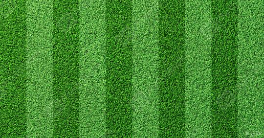 Detailed green soccer field grass lawn texture from above  : Stock Photo or Stock Video Download rcfotostock photos, images and assets rcfotostock | RC Photo Stock.: