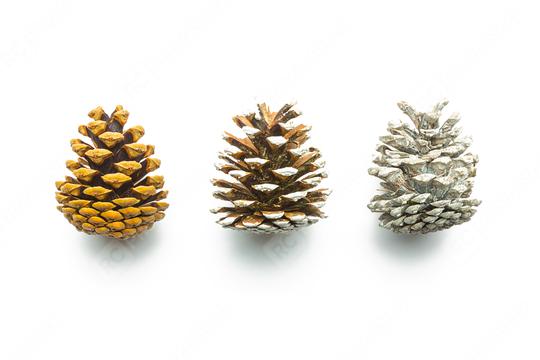 different pine cones on white  : Stock Photo or Stock Video Download rcfotostock photos, images and assets rcfotostock | RC Photo Stock.: