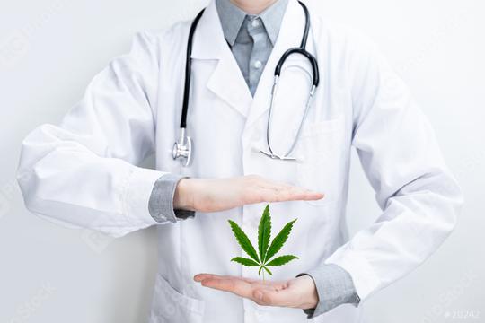 Doctor in white coat with cannabis hemp leaf as medicine CBD  : Stock Photo or Stock Video Download rcfotostock photos, images and assets rcfotostock | RC Photo Stock.: