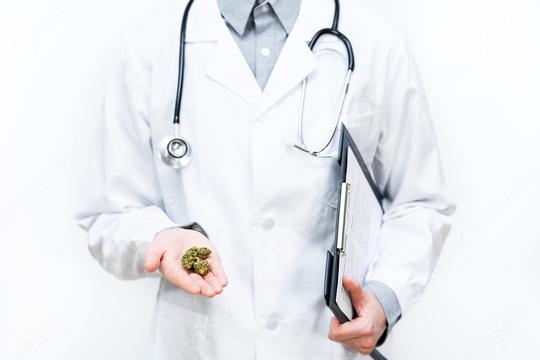 Doctor with medical cannabidiol CBD cannabis marijuana with white isolated background. Alternative, natural, legal medicine for pain. Legal medical marijuana für healthcare.   : Stock Photo or Stock Video Download rcfotostock photos, images and assets rcfotostock | RC Photo Stock.: