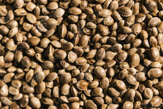 dried organic hemp seeds background  : Stock Photo or Stock Video Download rcfotostock photos, images and assets rcfotostock | RC Photo Stock.: