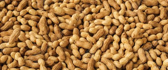Dried peanuts with shell. Tasty groundnuts as texture.  : Stock Photo or Stock Video Download rcfotostock photos, images and assets rcfotostock | RC Photo Stock.: