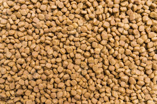 Dry food for dogs and cats. Pet meal background texture  : Stock Photo or Stock Video Download rcfotostock photos, images and assets rcfotostock | RC-Photo-Stock.: