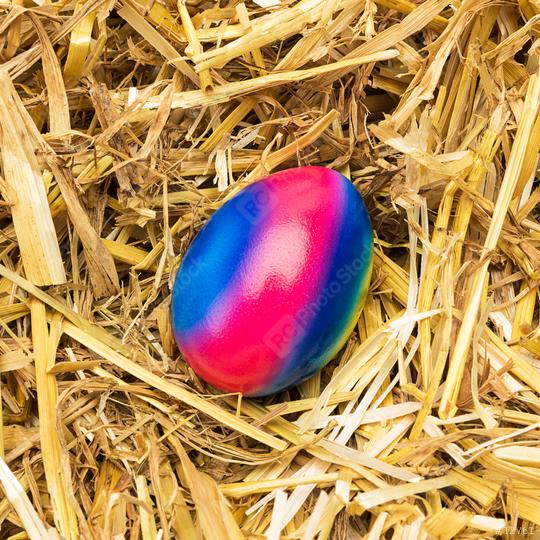 easter egg in rainbow color on straw  : Stock Photo or Stock Video Download rcfotostock photos, images and assets rcfotostock | RC Photo Stock.:
