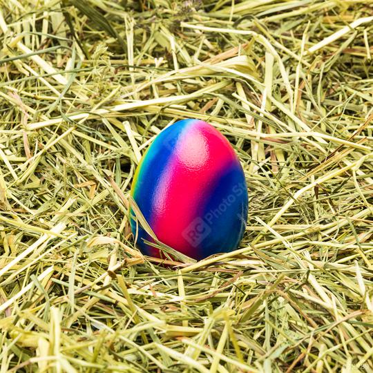 easter egg in rainbow colors on hay  : Stock Photo or Stock Video Download rcfotostock photos, images and assets rcfotostock | RC Photo Stock.: