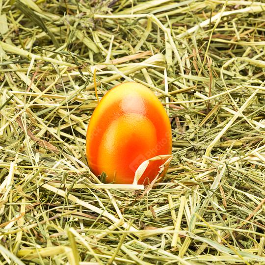 easter egg on hay  : Stock Photo or Stock Video Download rcfotostock photos, images and assets rcfotostock | RC Photo Stock.: