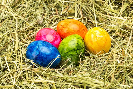 easter eggs in a hay nest  : Stock Photo or Stock Video Download rcfotostock photos, images and assets rcfotostock | RC Photo Stock.: