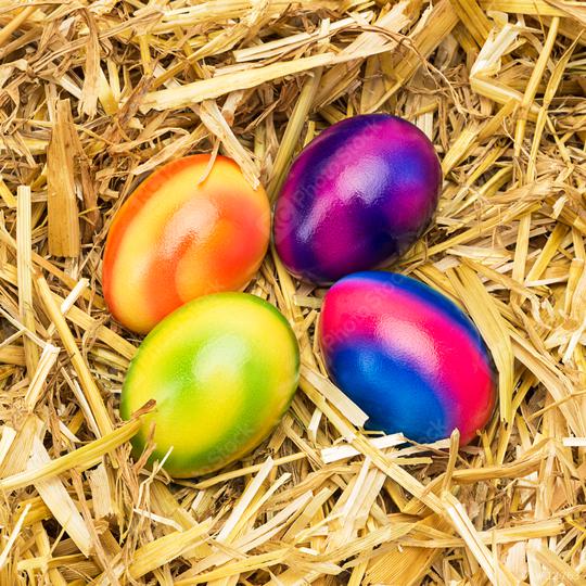 easter eggs in a straw nest  : Stock Photo or Stock Video Download rcfotostock photos, images and assets rcfotostock | RC Photo Stock.: