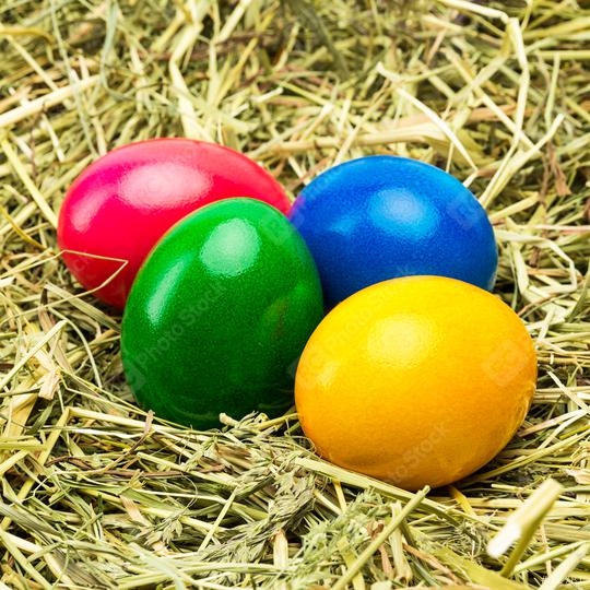 easter eggs in different colors  : Stock Photo or Stock Video Download rcfotostock photos, images and assets rcfotostock | RC Photo Stock.: