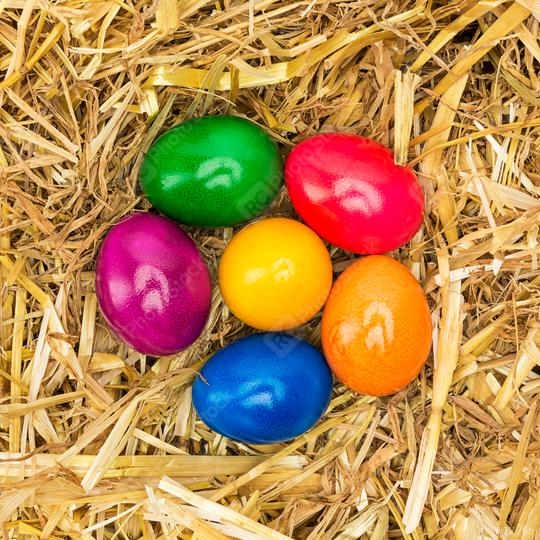 easter eggs in different colors on straw  : Stock Photo or Stock Video Download rcfotostock photos, images and assets rcfotostock | RC Photo Stock.: