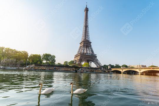 Eiffel tower, Paris in France with swans at the seine river  : Stock Photo or Stock Video Download rcfotostock photos, images and assets rcfotostock | RC Photo Stock.: