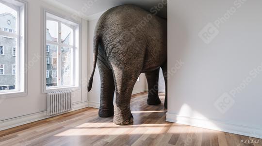 Elefant in Wohnung als Platzmangel und Haustier Konzept  : Stock Photo or Stock Video Download rcfotostock photos, images and assets rcfotostock | RC Photo Stock.: