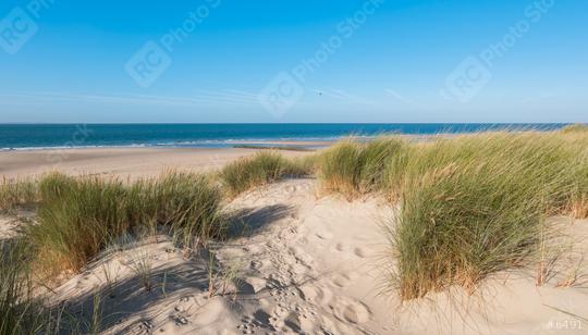 Empty beach with dunes waves and the sea  : Stock Photo or Stock Video Download rcfotostock photos, images and assets rcfotostock | RC Photo Stock.: