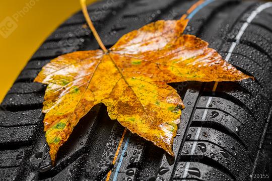 Every year Tire change in autumn   : Stock Photo or Stock Video Download rcfotostock photos, images and assets rcfotostock | RC Photo Stock.: